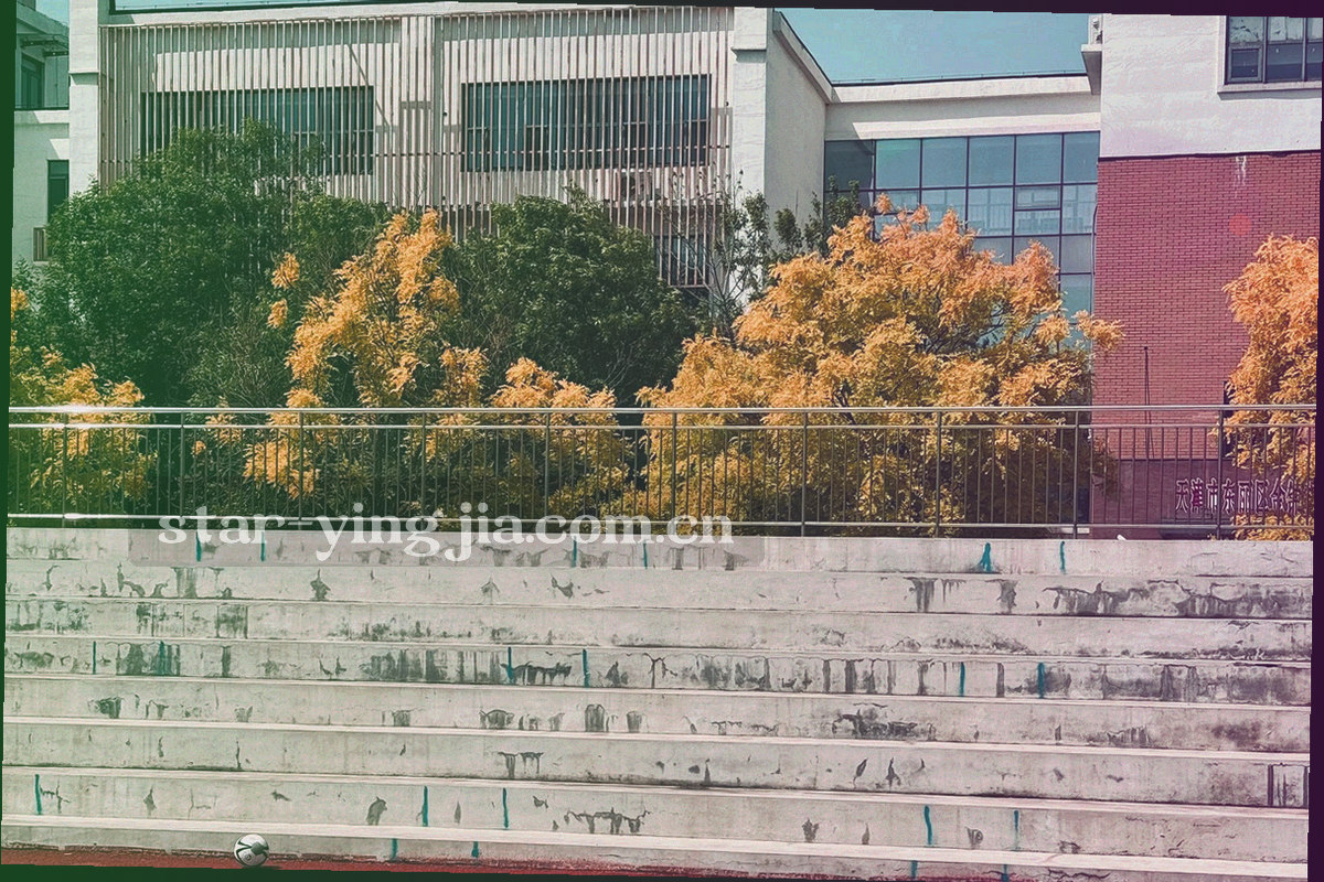 开放式办公区的俯视画面，屏幕光为主要光源，人物处理为不可辨认的虚化剪影